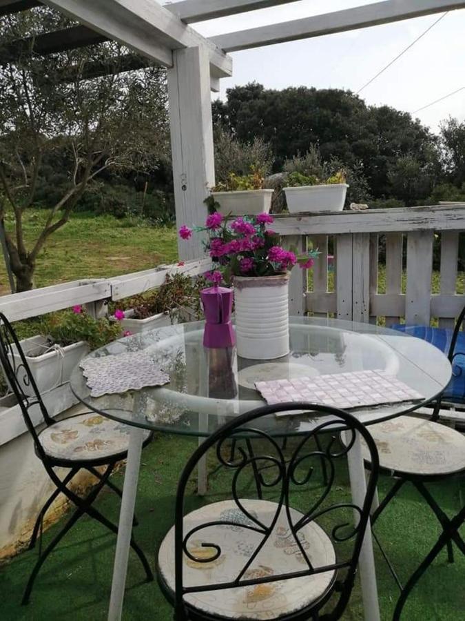 Eucaliptus Farm Retreat Konuk evi Santa Teresa Gallura Dış mekan fotoğraf
