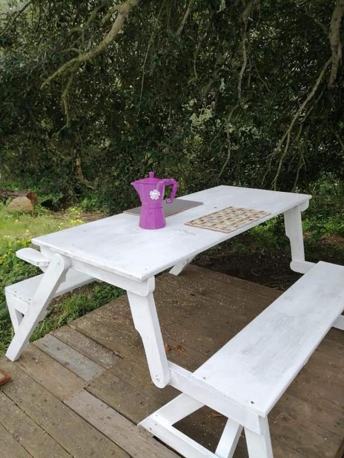 Eucaliptus Farm Retreat Konuk evi Santa Teresa Gallura Dış mekan fotoğraf
