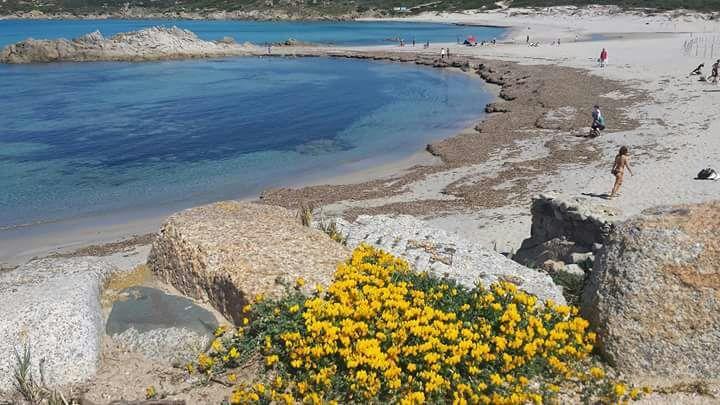 Eucaliptus Farm Retreat Konuk evi Santa Teresa Gallura Dış mekan fotoğraf