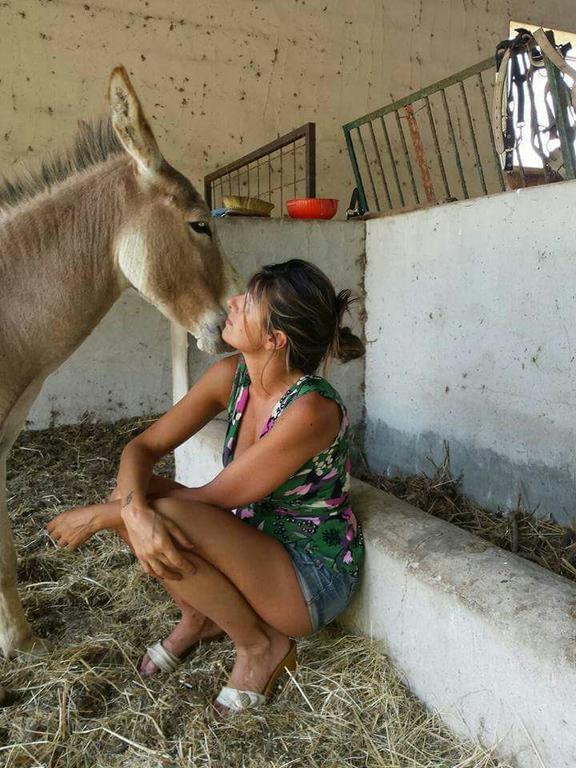 Eucaliptus Farm Retreat Konuk evi Santa Teresa Gallura Dış mekan fotoğraf