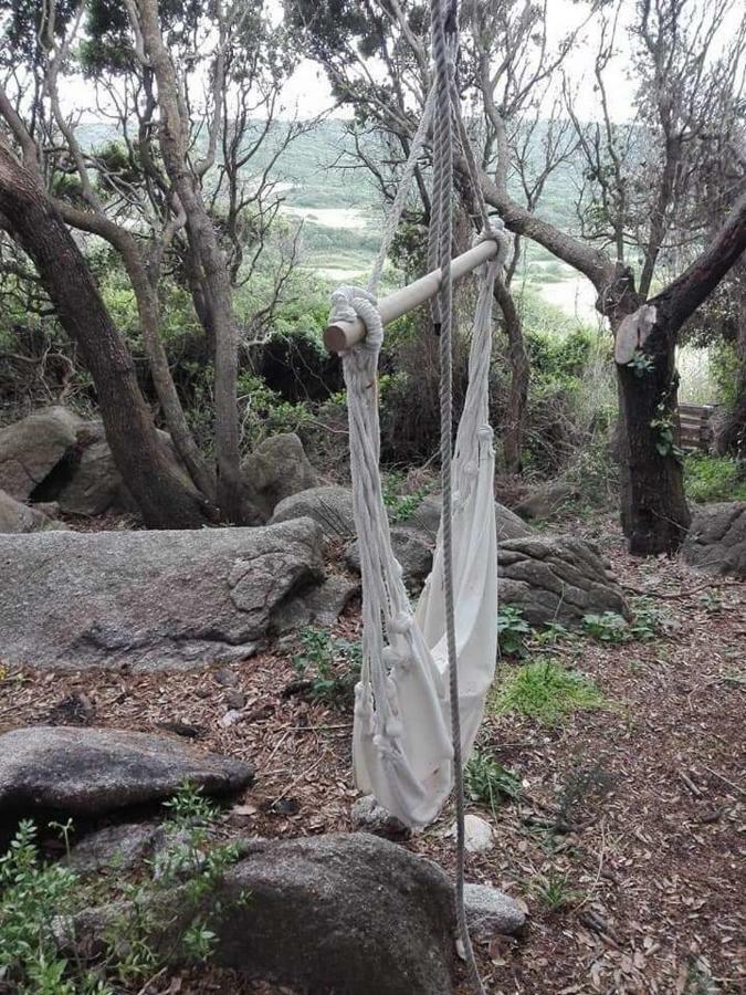 Eucaliptus Farm Retreat Konuk evi Santa Teresa Gallura Dış mekan fotoğraf