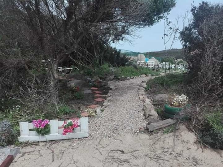 Eucaliptus Farm Retreat Konuk evi Santa Teresa Gallura Dış mekan fotoğraf