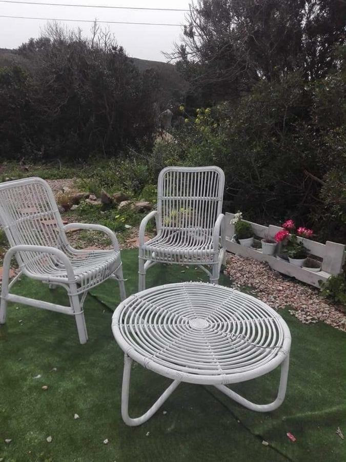 Eucaliptus Farm Retreat Konuk evi Santa Teresa Gallura Dış mekan fotoğraf